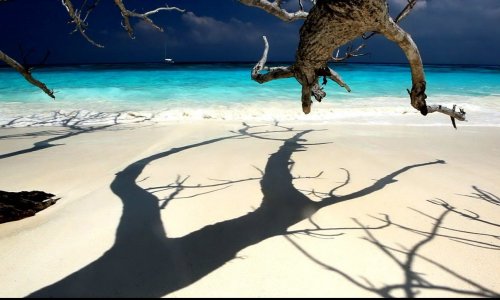 Similan Islands Day Trip — Standard — 9