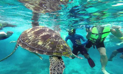 Similan Islands, 2 Days and 1 Night — 7