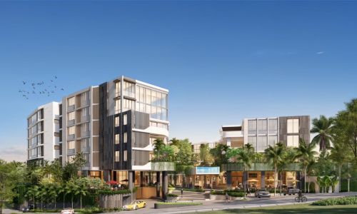 Петит Тайкун