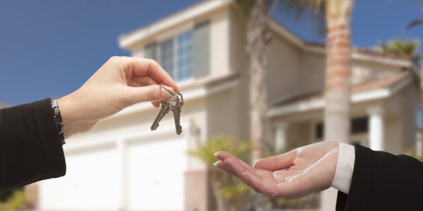 Доверительное управление недвижимостью