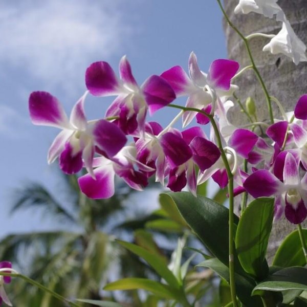 Property image - gallery 33