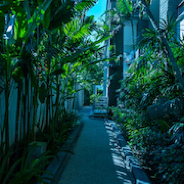 Property image - gallery 49