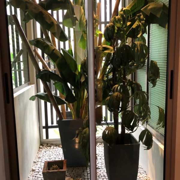 Property image - gallery 32