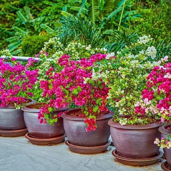 Property image - gallery 10