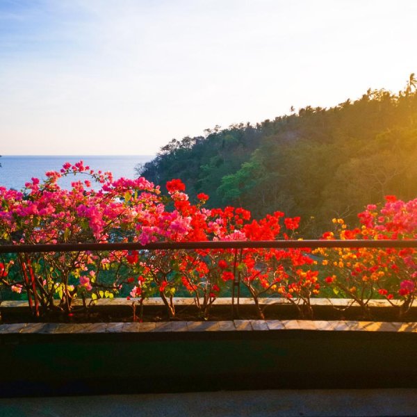 Property image - gallery 24