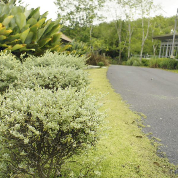 Property image - gallery 9