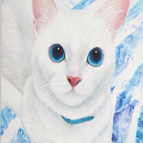 Property image - gallery 48