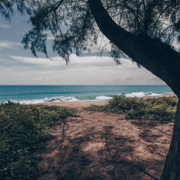 Property image - gallery 41