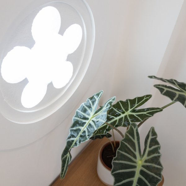 Property image - gallery 57