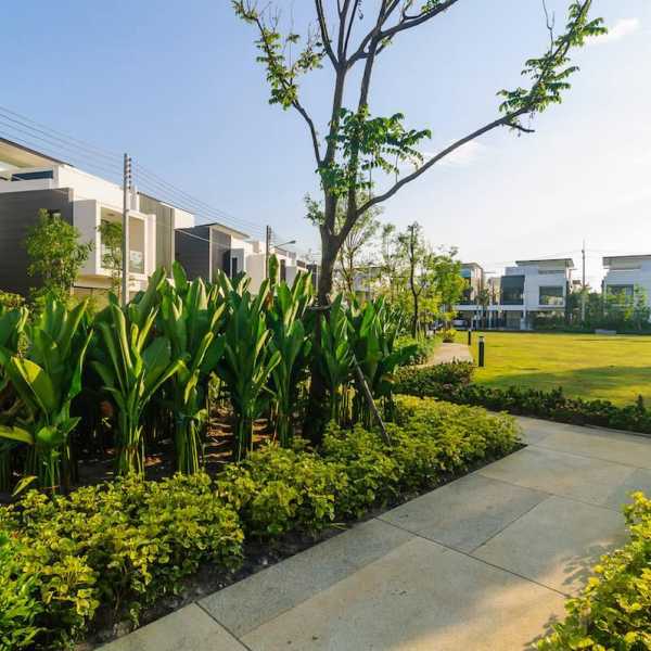 Property image - gallery 45