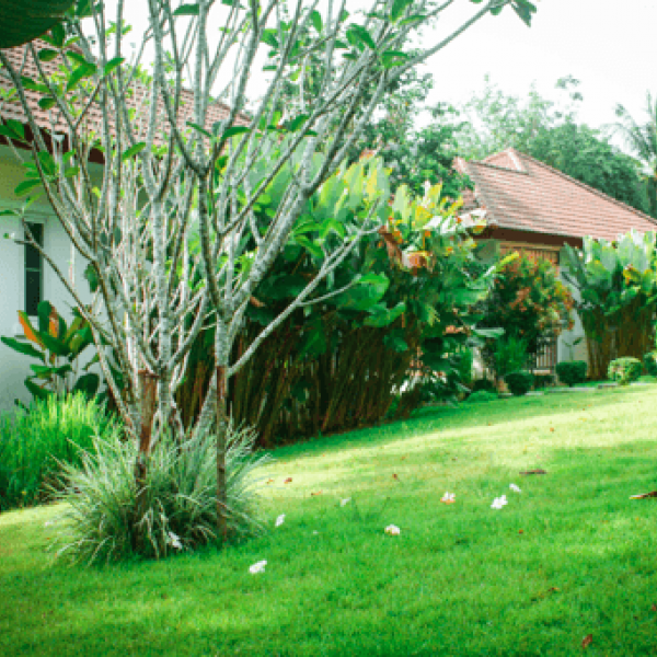 Property image - gallery 18