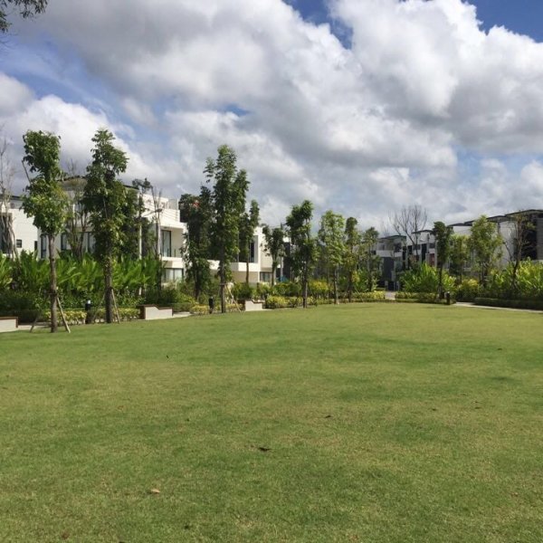 Property image - gallery 30