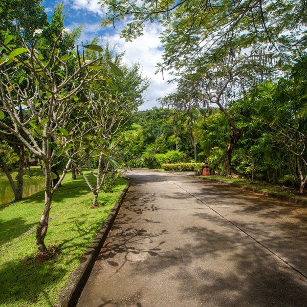 Property image - photo 3