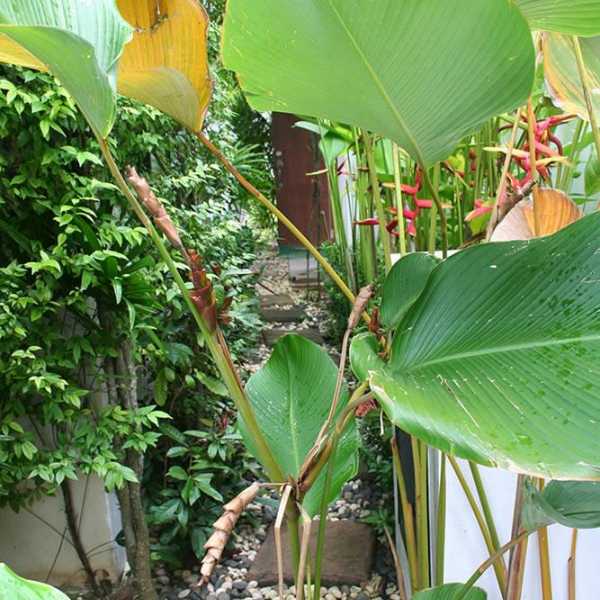 Property image - gallery 9