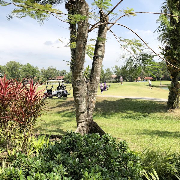 Property image - photo 3