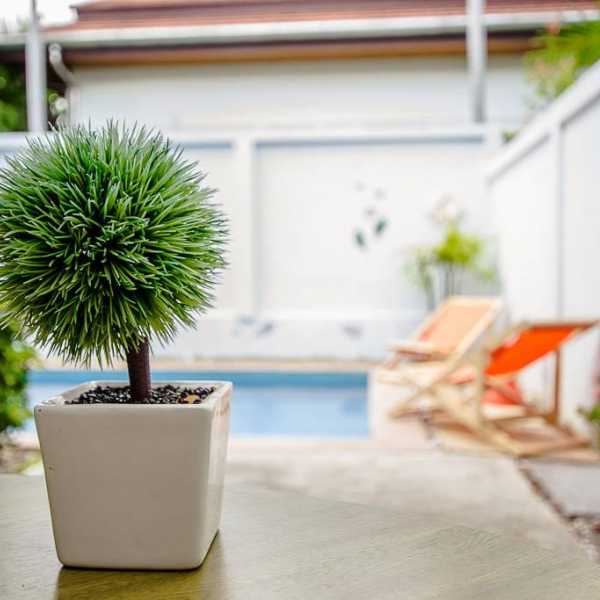 Property image - gallery 23