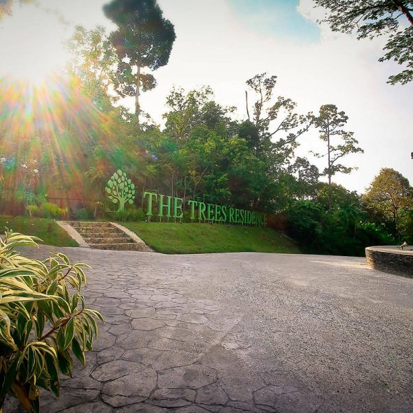 Property image - gallery 11