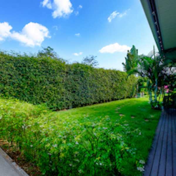 Property image - gallery 19