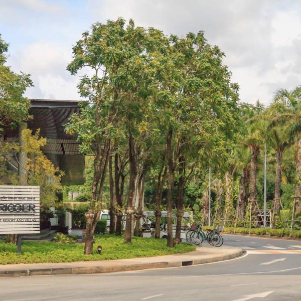 Property image - gallery 76