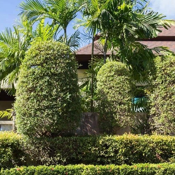 Property image - photo 2