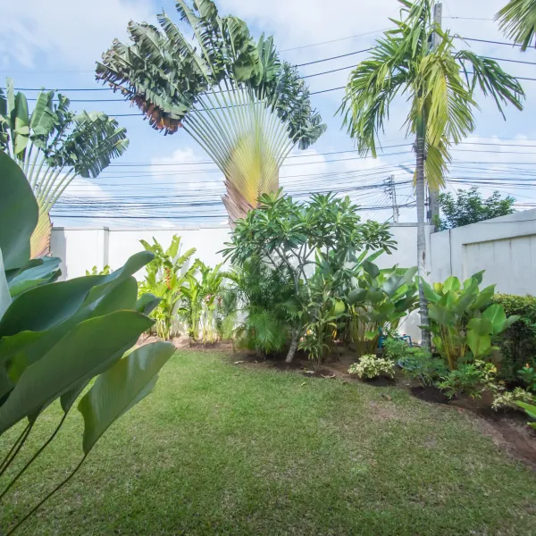 Property image - gallery 38