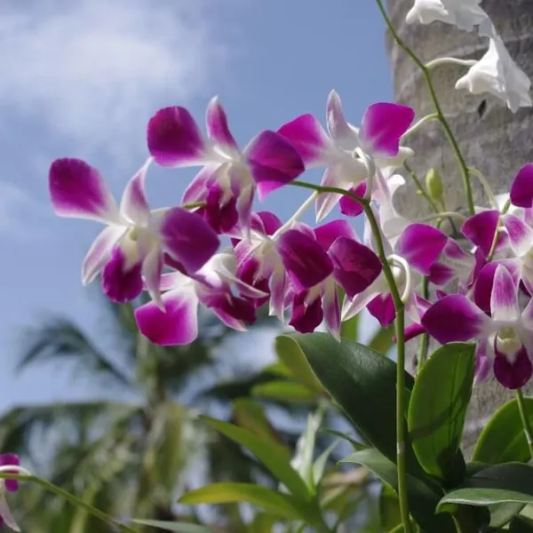 Property image - gallery 33