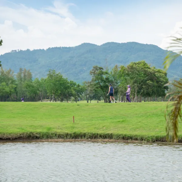 Property image - gallery 54