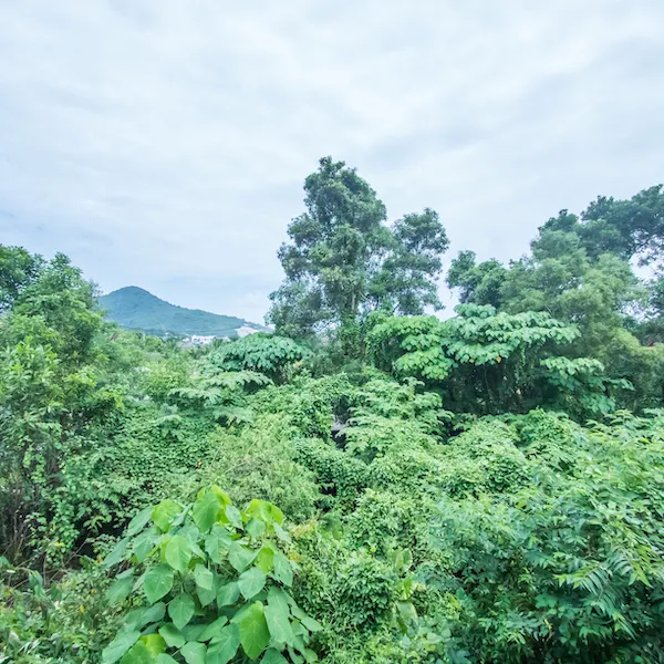 Property image - gallery 56