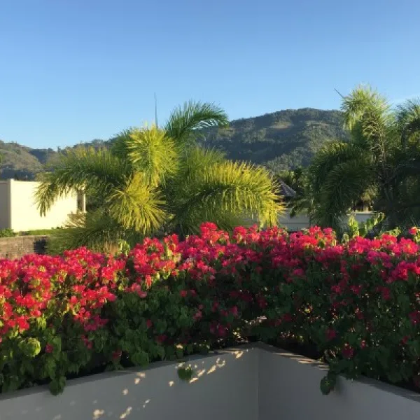 Property image - photo 5