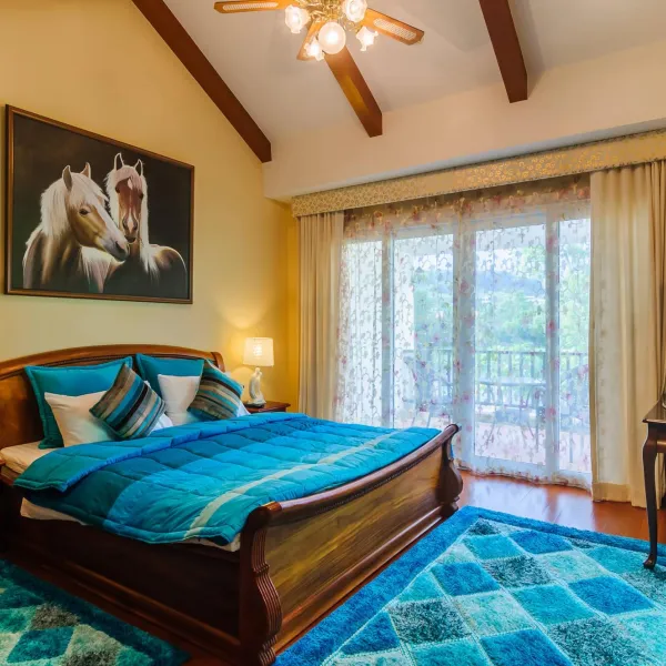 Property image - gallery 65