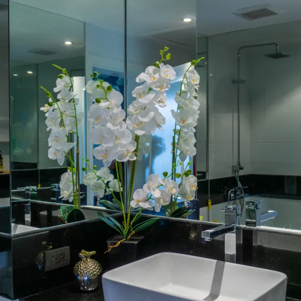 Property image - gallery 42