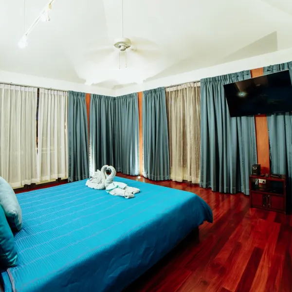 Property image - gallery 13