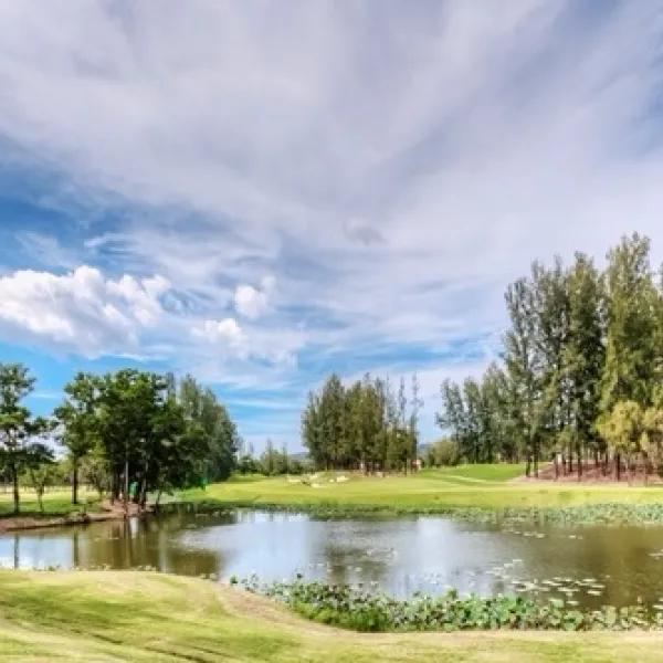 Property image - gallery 29