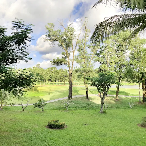 Property image - photo 2