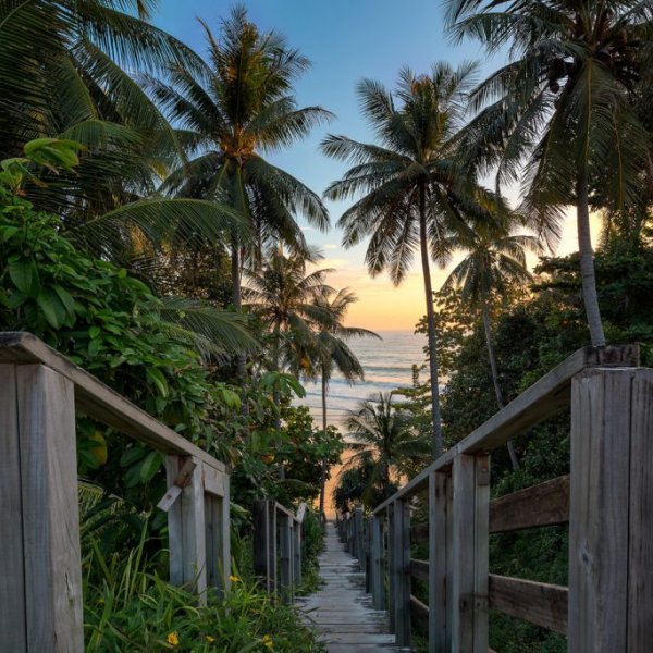 Property image - photo 4