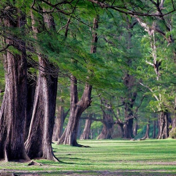 Property image - gallery 31