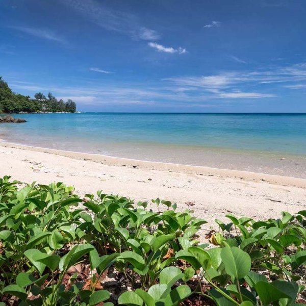 Property image - gallery 11