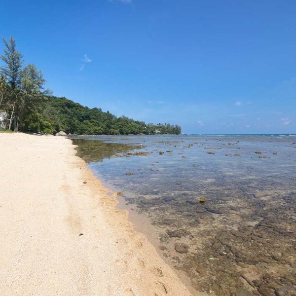 Property image - gallery 13