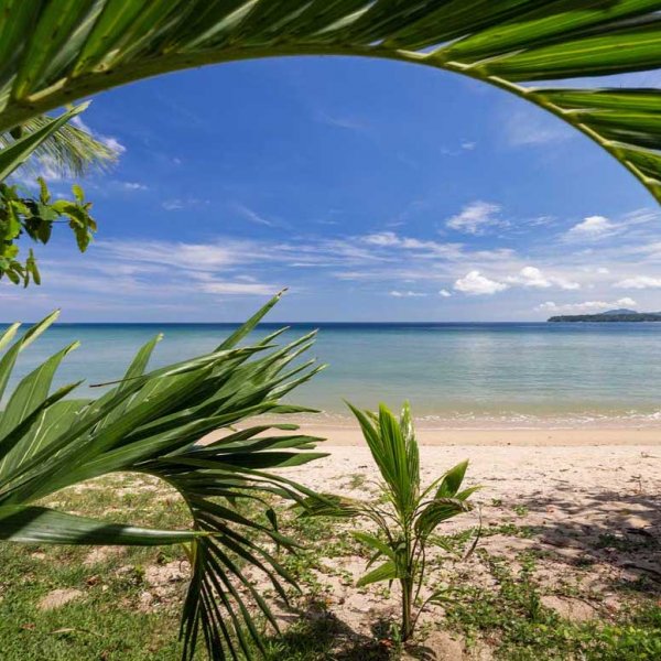 Property image - photo 3