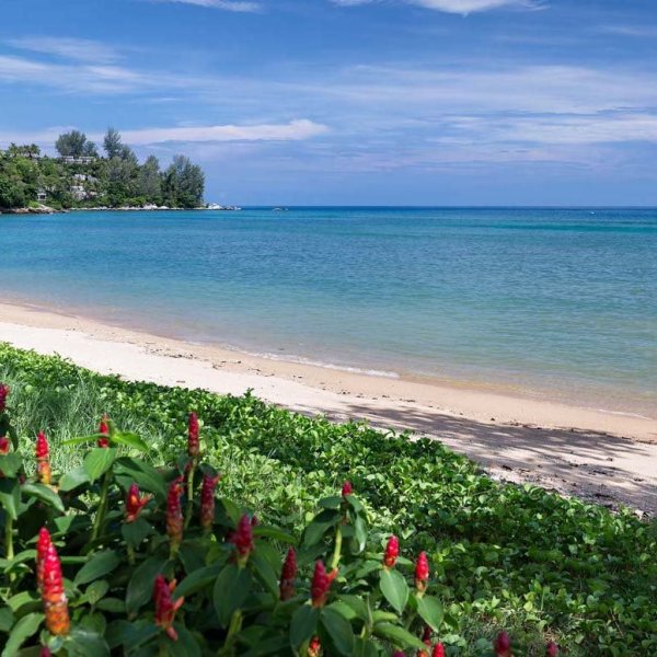 Property image - gallery 10