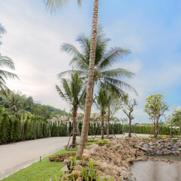 Property image - gallery 6