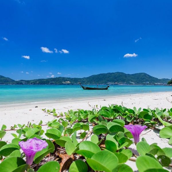 Property image - photo 2