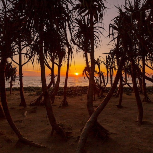 Property image - gallery 17