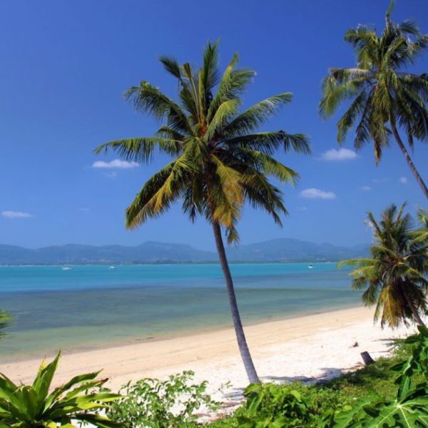 Property image - gallery 18