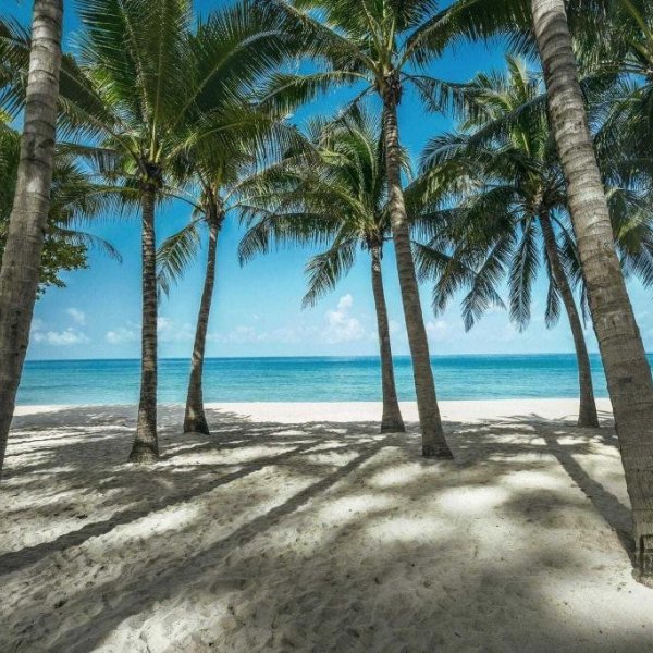 Property image - gallery 15