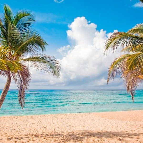 Property image - photo 3