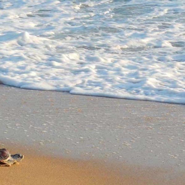 Property image - gallery 12