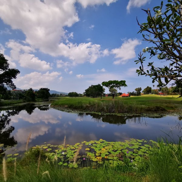 Property image - gallery 19