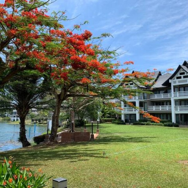 Property image - gallery 45