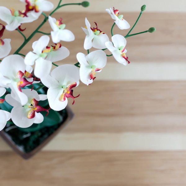 Property image - gallery 29